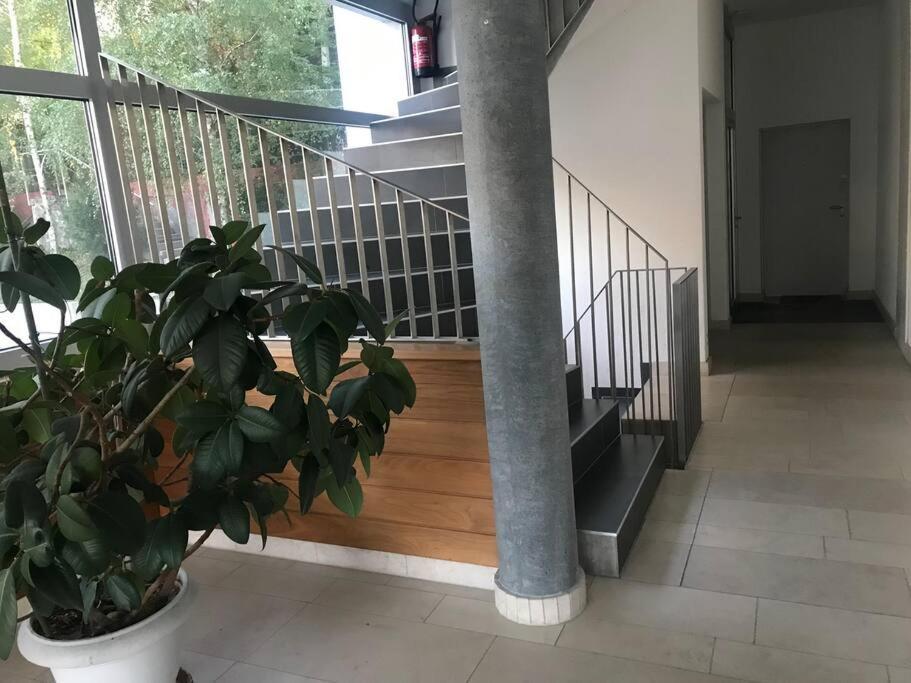 Spacious And Bright 2 Bedroom With Terrace Lausanne