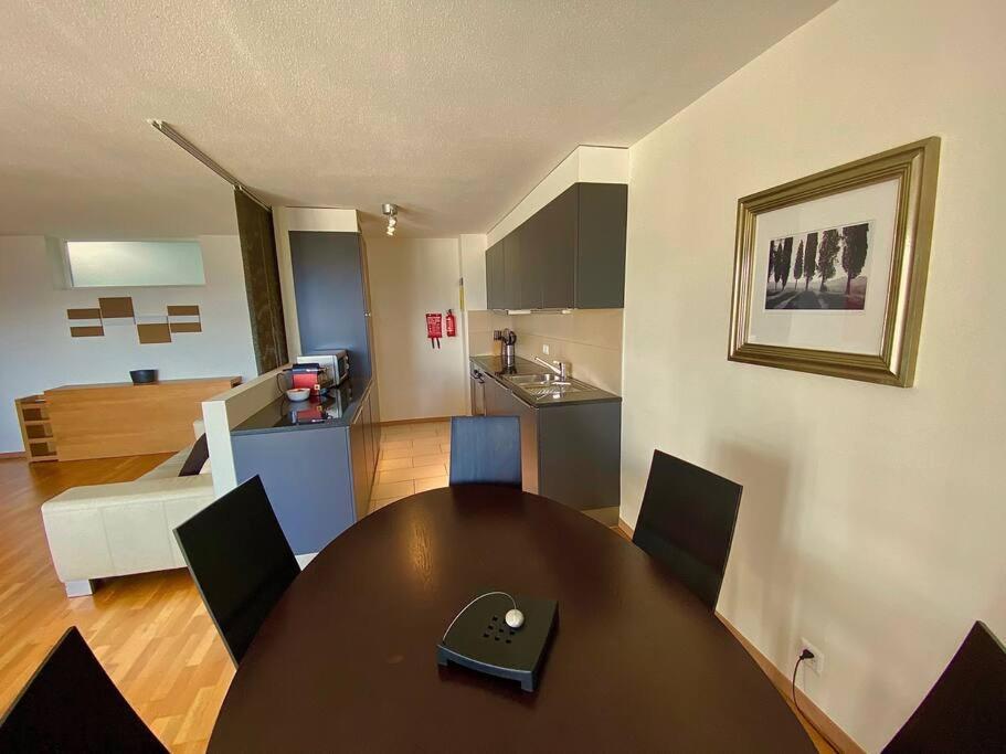 Spacious And Bright 2 Bedroom With Terrace Lausanne