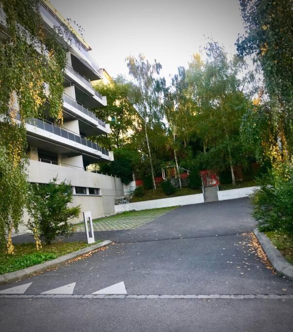 Spacious And Bright 2 Bedroom With Terrace Lausanne