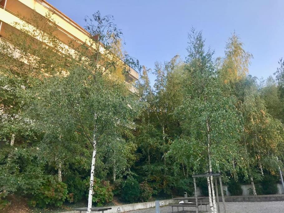 Spacious And Bright 2 Bedroom With Terrace *
